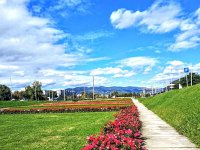 Sveučilišna livada, ulica Hrvatske bratske zajednice